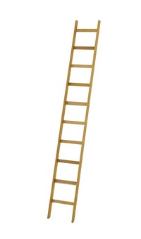 "De enkelzijdige ladder is het meest gebruikte soort van ladder kopen" title="De enkelzijdige ladder is het meest gebruikte soort van ladder"